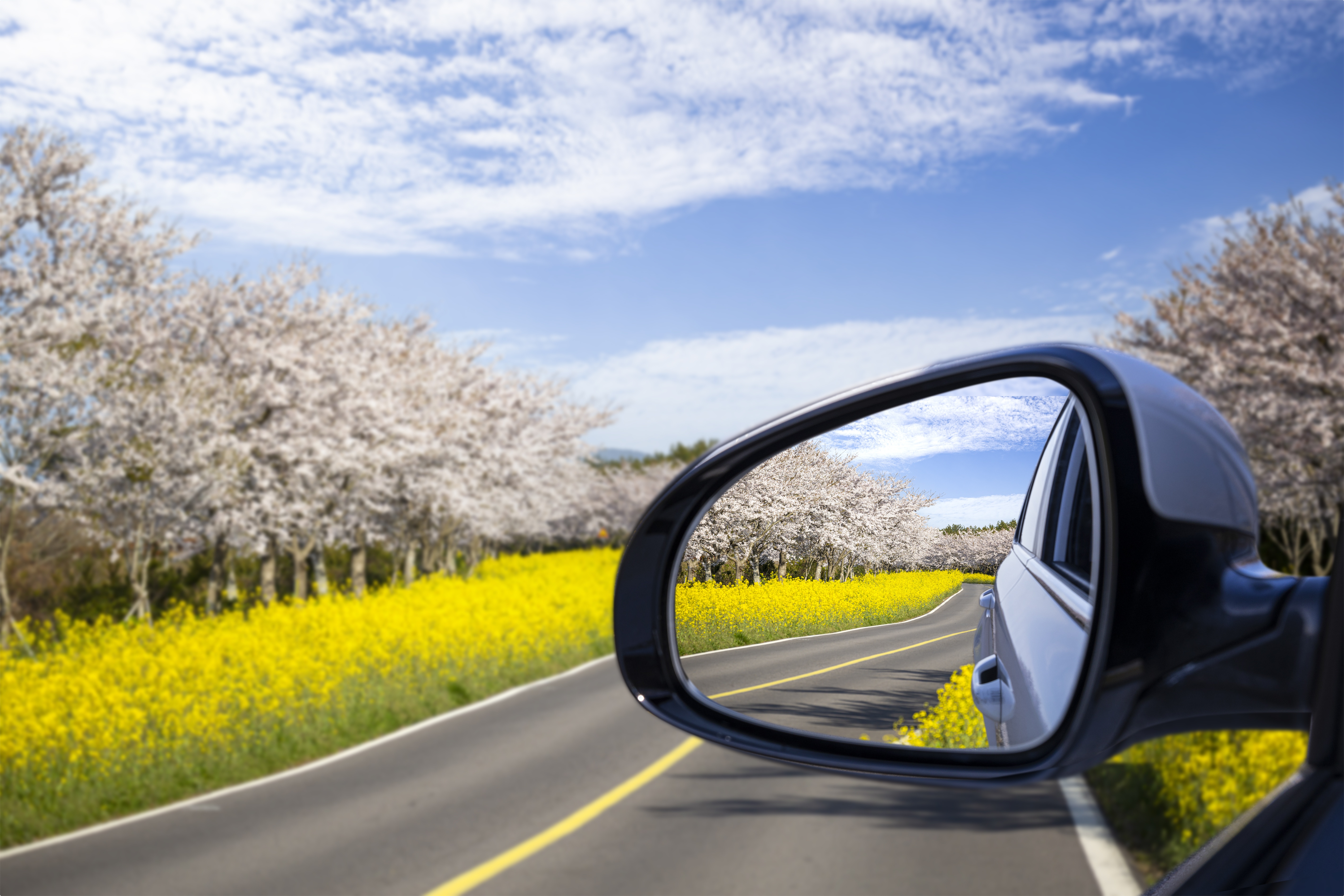 봄 제주 여행은 미리 준비하는 것이 중요