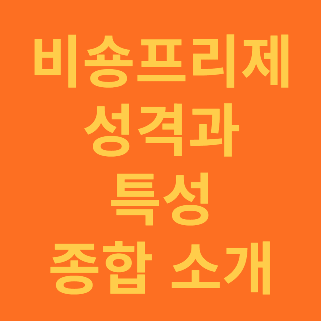 비숑프리제 성격과 특성 종합 소개