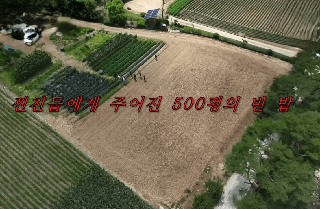 콩콩팥팥 촬영지