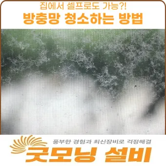 방충망 찌든때 칫솔과 구연산 불림으로 세척하는 법_4