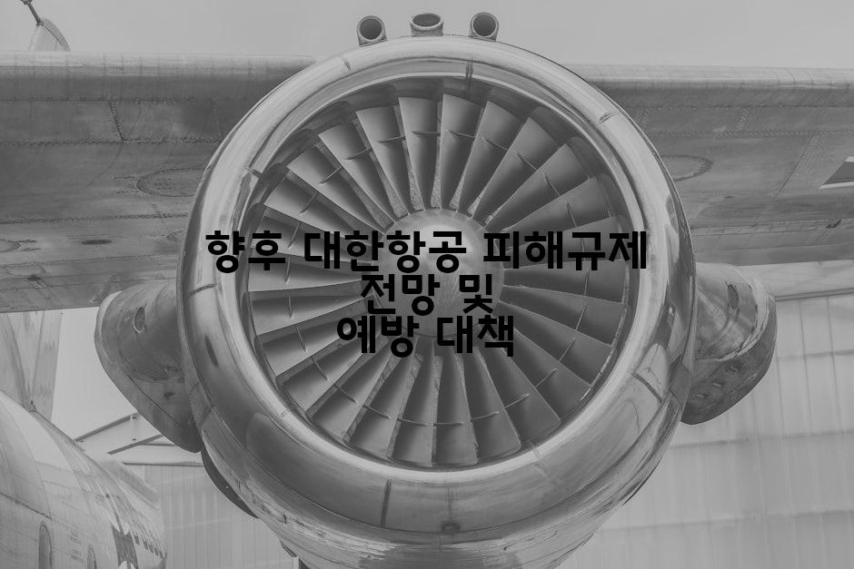 향후 대한항공 피해규제 전망 및 예방 대책