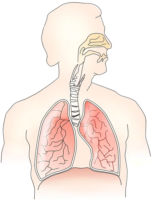 폐기흉 원인 증상 치료법