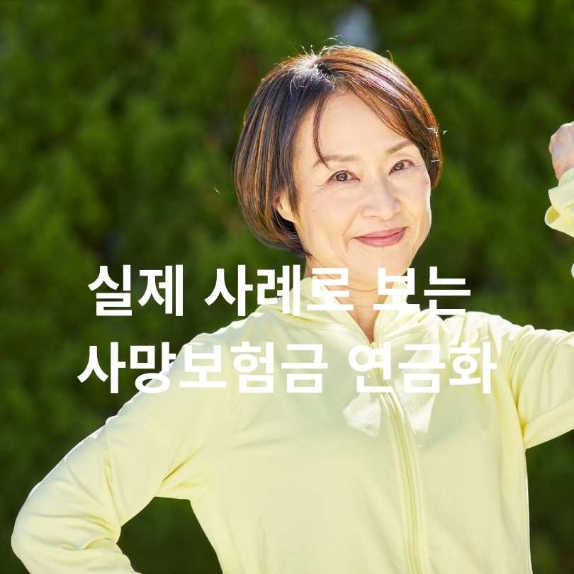 55세부터 사망보험금 유동화 제도