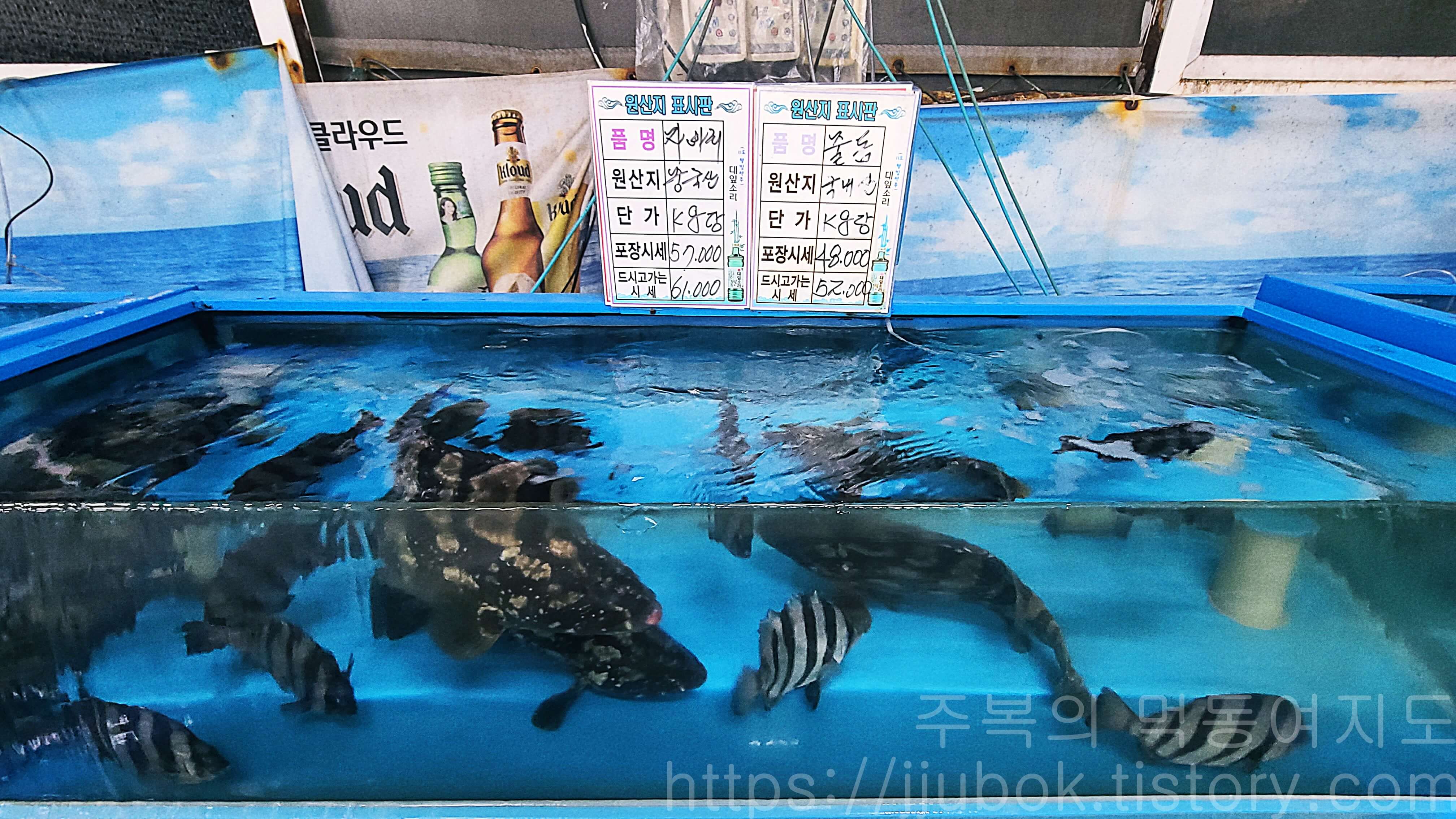 인천-작전동-싱싱활어-종합어시장-내부-수조-5