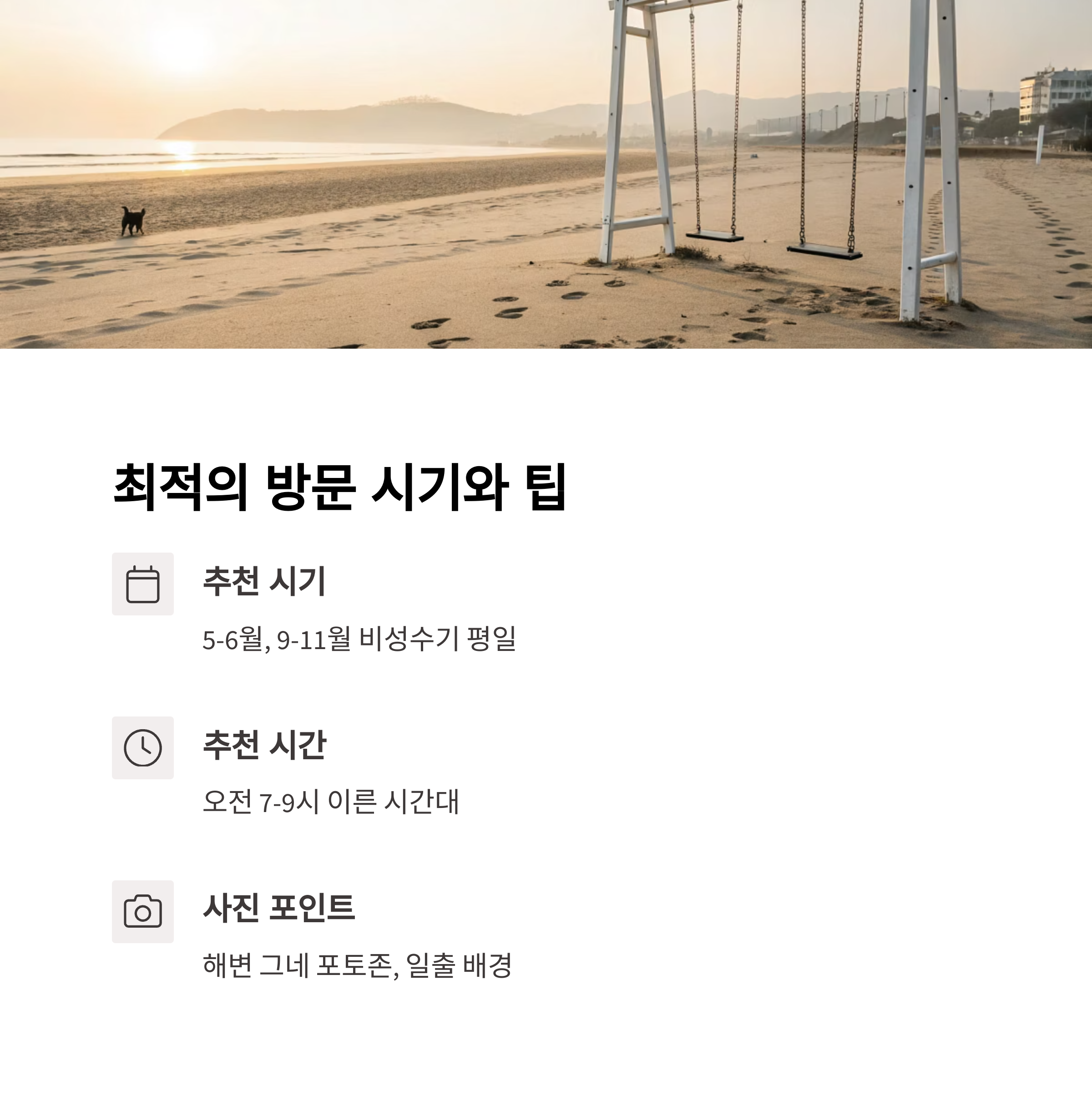 양양 동호해수욕장, 반려견