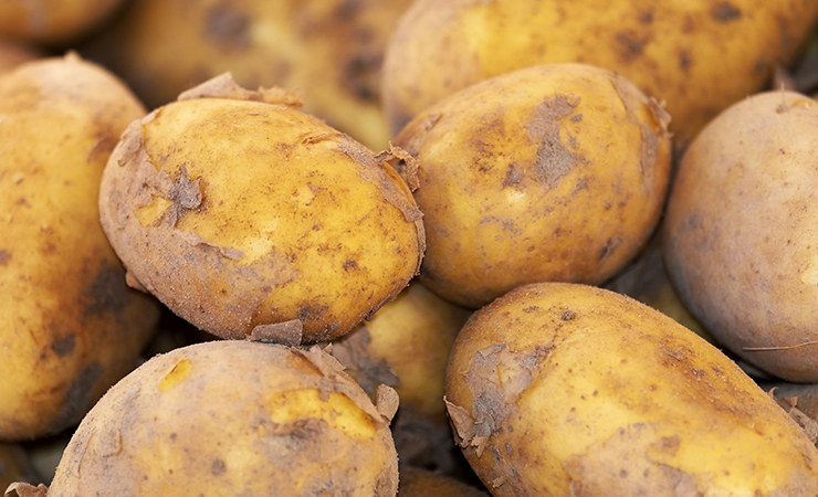 감자
냉장고에 보관하면 안 되는 과일 채소