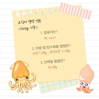오징어 단백질 함량과 건강에 좋은 이유_4