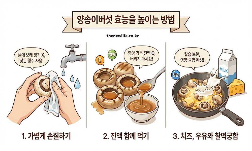 양송이버섯 효능을 높이는 손질법과 조리법을 설명하는 인공 이미지