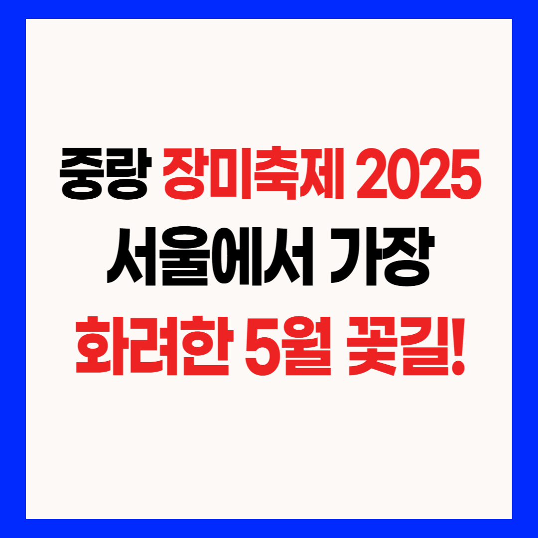 중랑 장미축제 2025 서울에서 가장 화려한 5월 꽃길 썸네일 텍스트