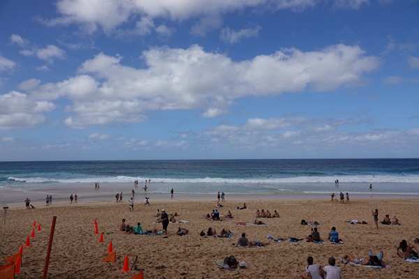 트래블 버블 뜻