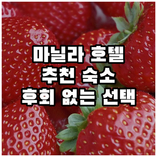 믿고 보는 마닐라 호텔 추천! 후회 ..