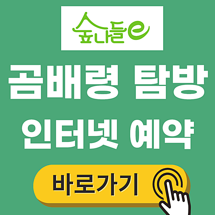 곰배령 예약 방법