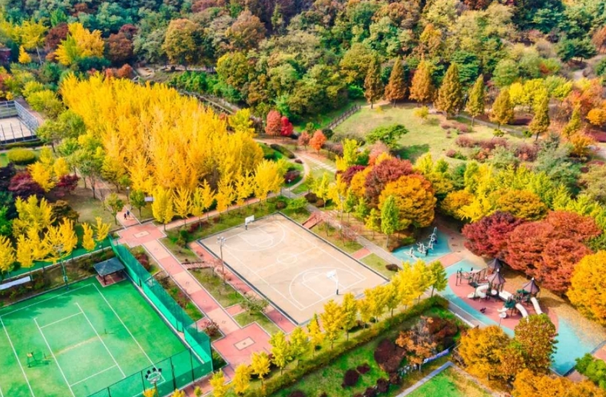 인천/명품/단풍/명소