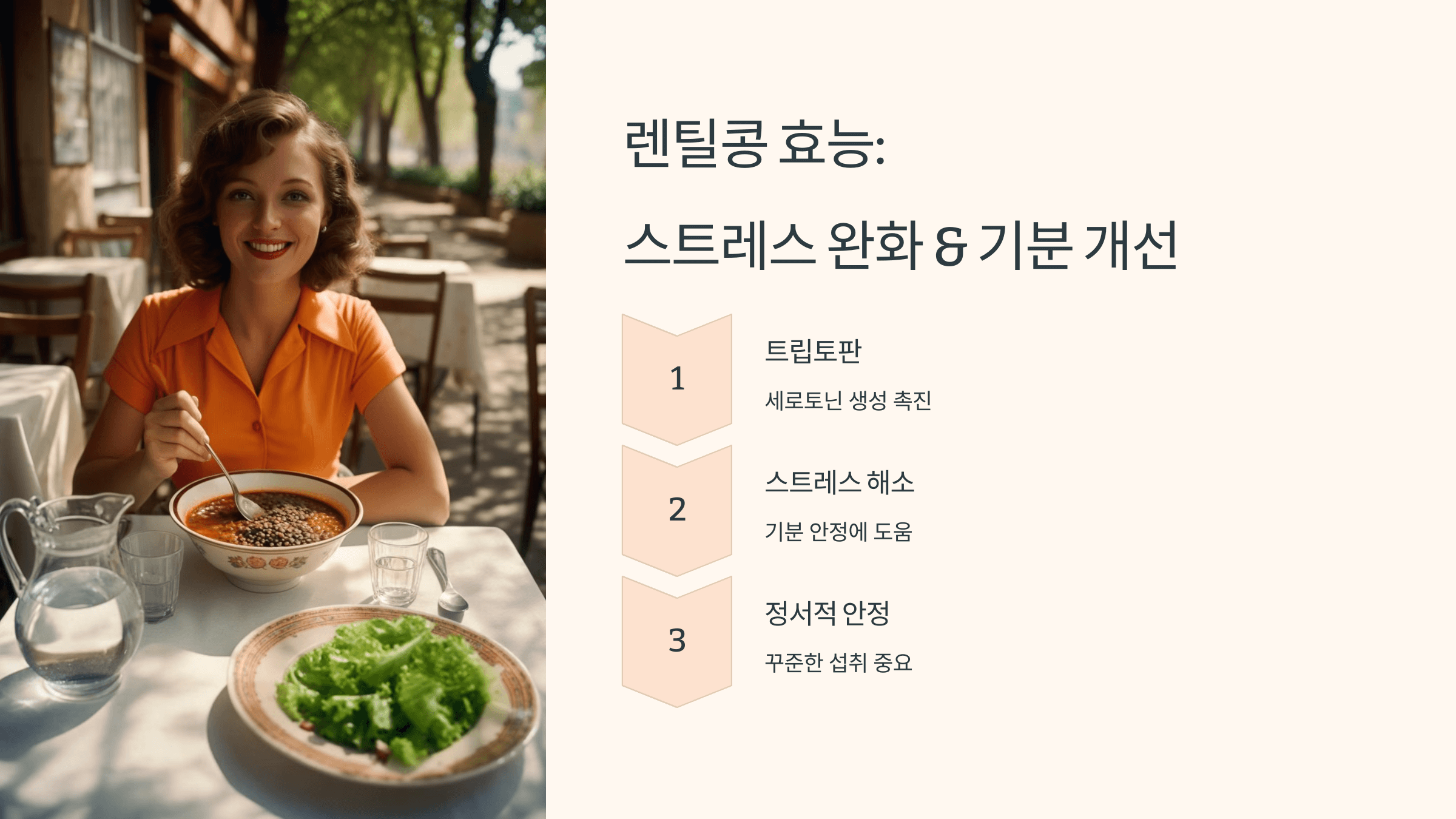 렌틸콩 사진입니다.