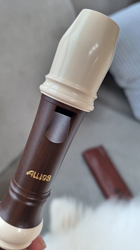 아울로스 리코더 상단