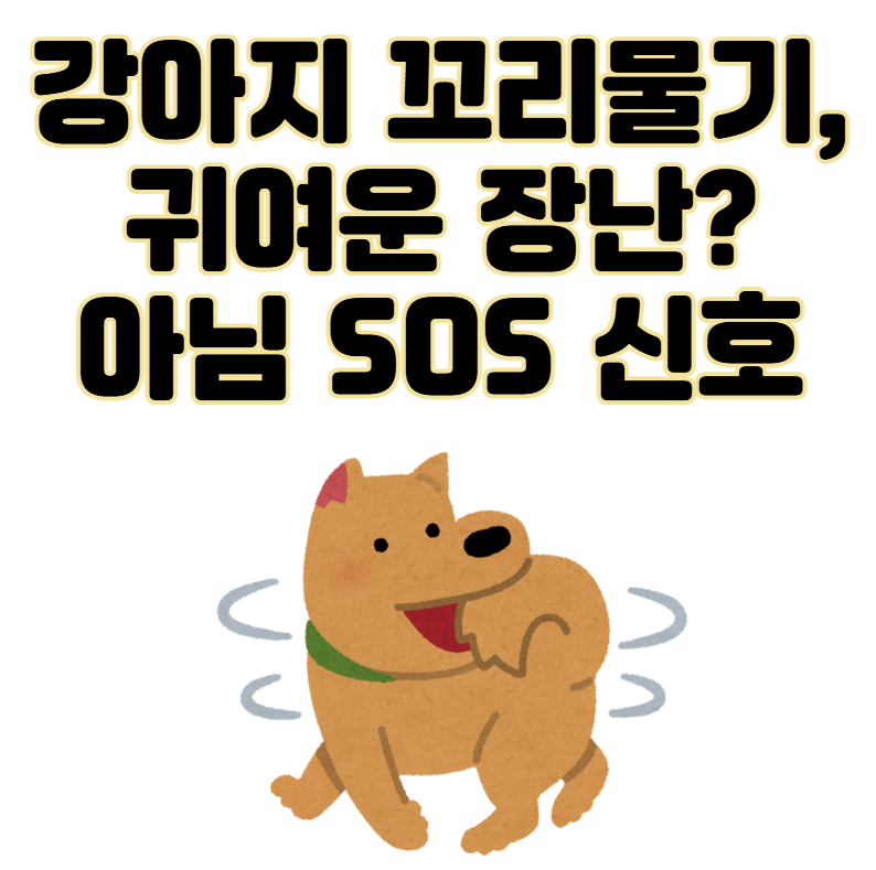 우리 강아지 꼬리물기, 귀여운 장난? 아님 SOS 신호?!