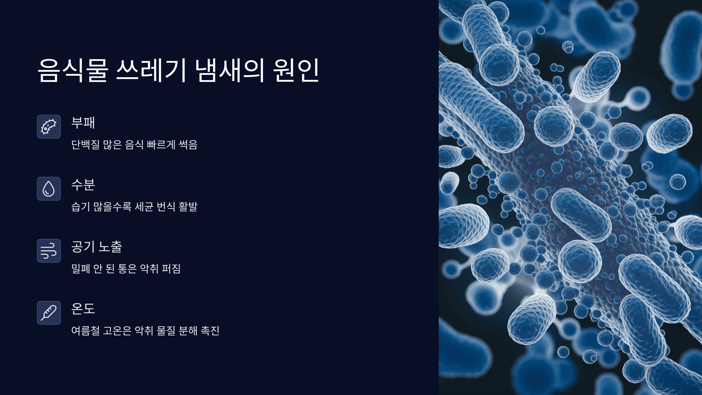 냄새의 원인