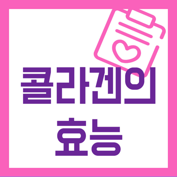 콜라겐의 효능 관련 사진 1