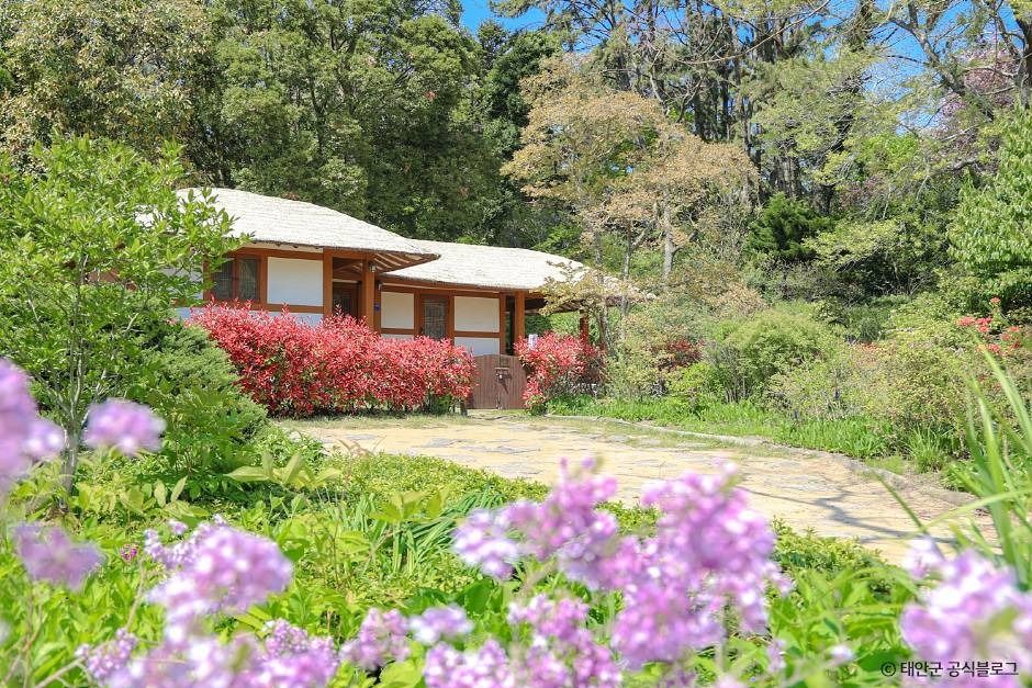 태안 가볼만한곳 베스트10