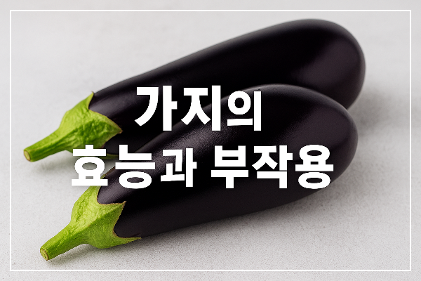 가지의 효능과 부작용