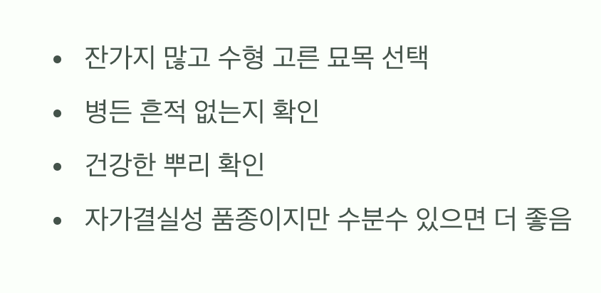 첫 단추가 중요해요, 튼튼한 모종 고르기