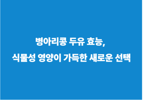 병아리콩 두유 효능, 식물성 영양이 가득한 새로운 선택