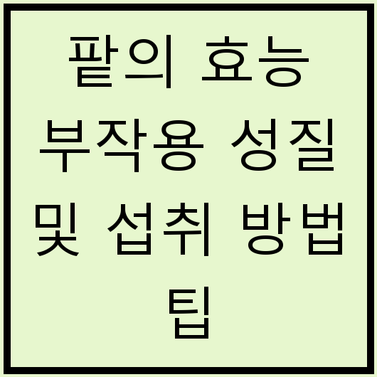 팥의 효능 부작용 성질 및 섭취 방법 팁