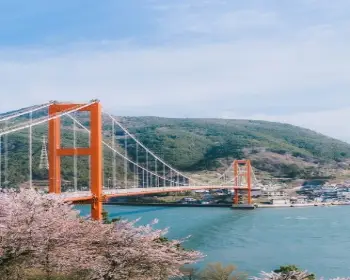 벚꽃 개화시기_12