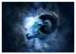 산수도인 별자리 11월 월간 오늘의 운세