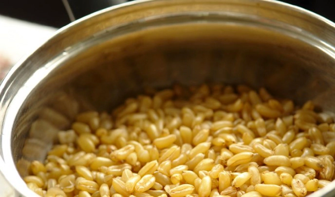 카무트 효소 만드는법 4단계