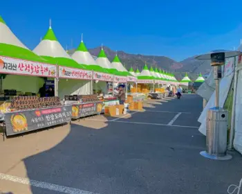 지리산 산청곶감축제_3