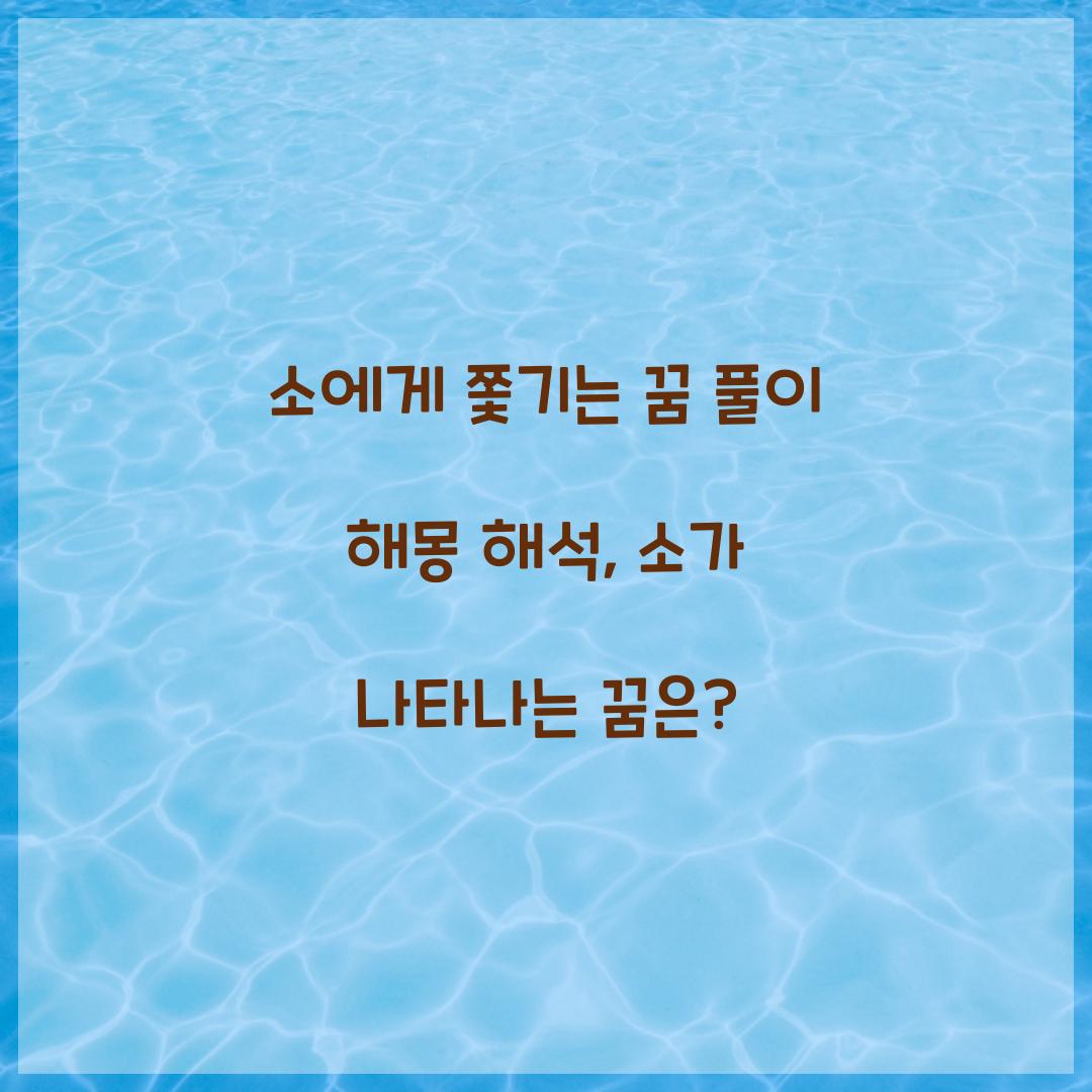 소에게 쫓기는 꿈 풀이 해몽 해석