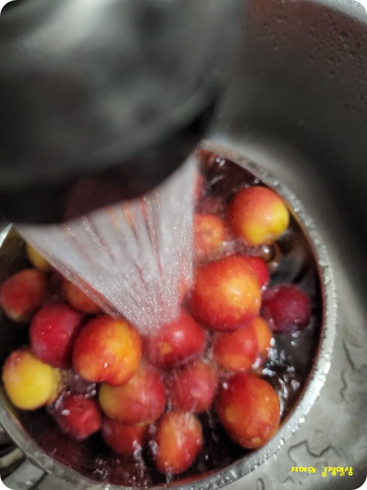 씻고 있는 자두