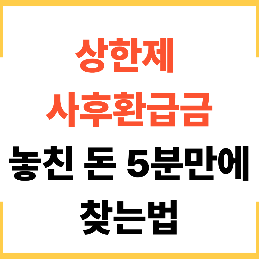 상한제 사후환급금 놓친 돈 5분만에 찾는 법