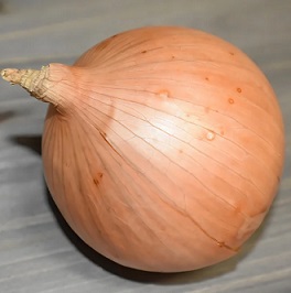 양파껍질