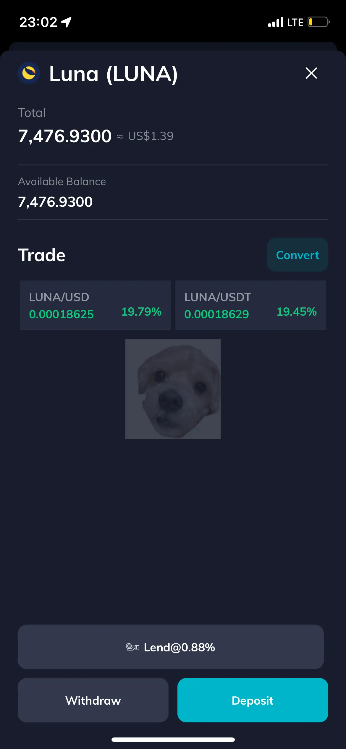 FTX 거래소 루나 매수
