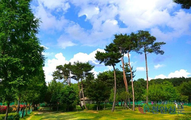 천안 풍세파크골프장. 충남 천안시 동남구 풍세면 용정리 971 (풍세산업단지 내)