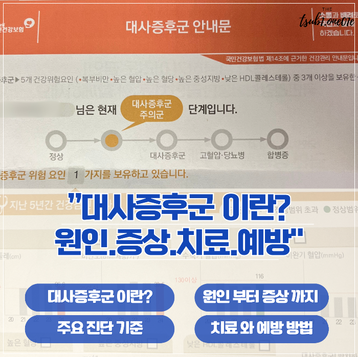 건강검진_대사증후군_주의군