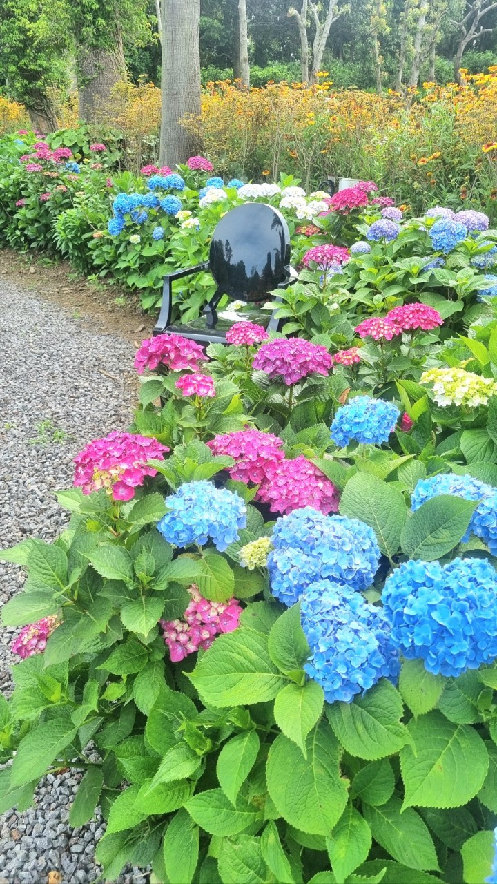 소인국테마파크 수국