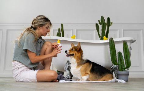 강아지를 위한 에센셜 오일 : 종류,효능,활용법