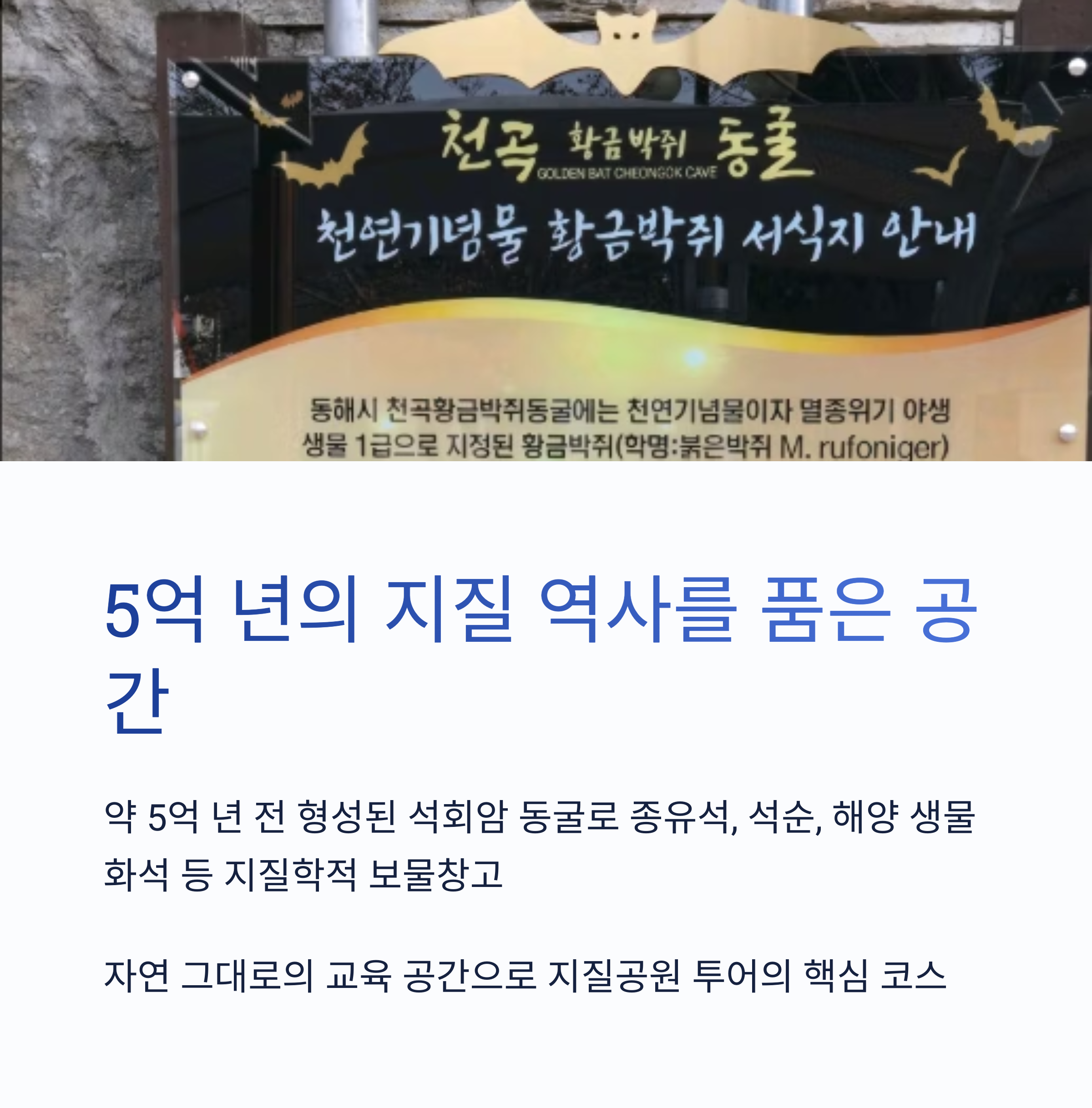 5억 년의 지질 역사를 품은 공간