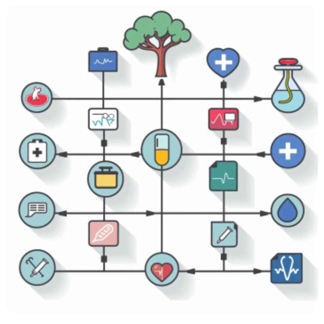 식물성 멜라토닌과 관련된 사진입니다.