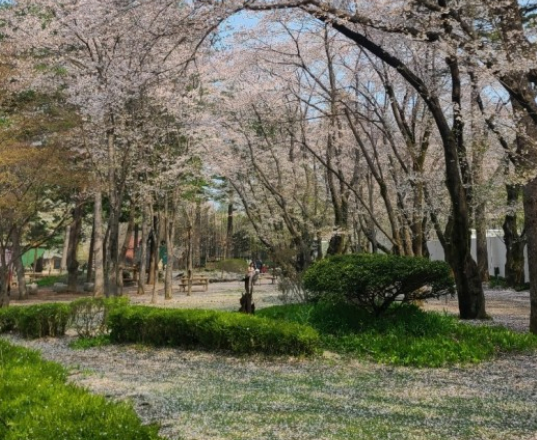 가평 가볼만한곳 BEST 7