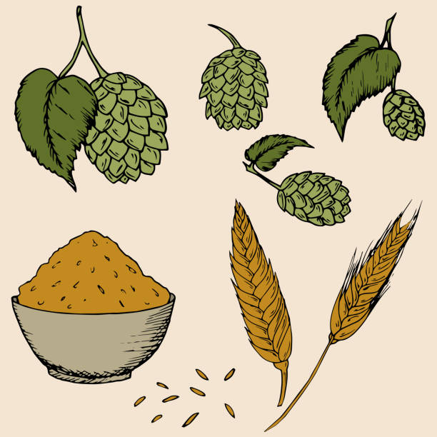 폐플라스틱을 이용한 DIY 수경재배 시스템 구축