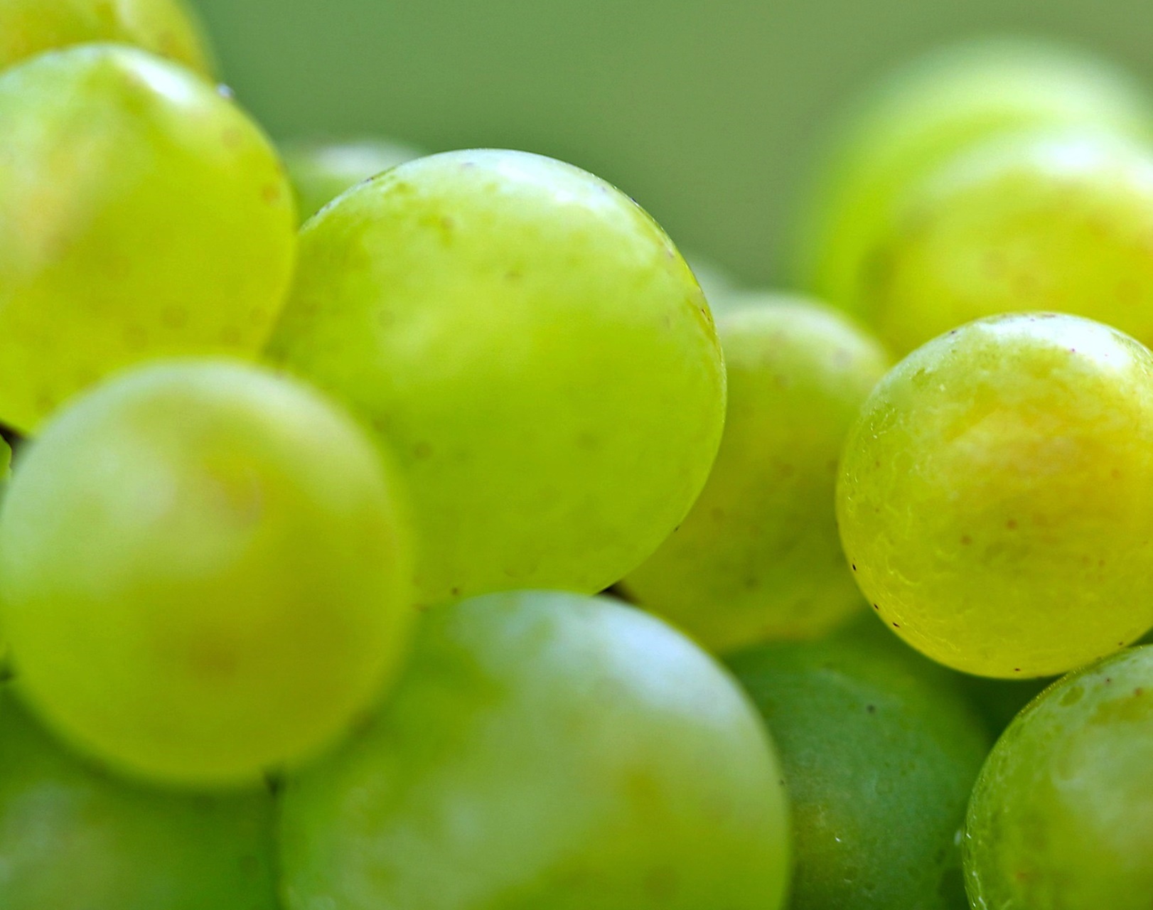 당뇨 전단계에서 가장 먼저 흔들리는 ‘하루 혈당 리듬’