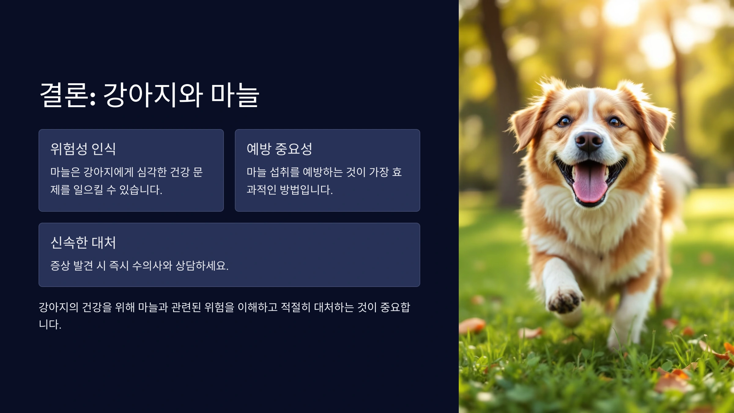 강아지가 마늘을 먹었을 때 나타나는 증상과 대처법