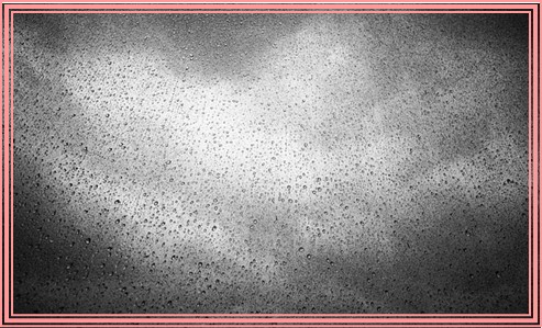 임신 중 알레르기 종류와 관련정보