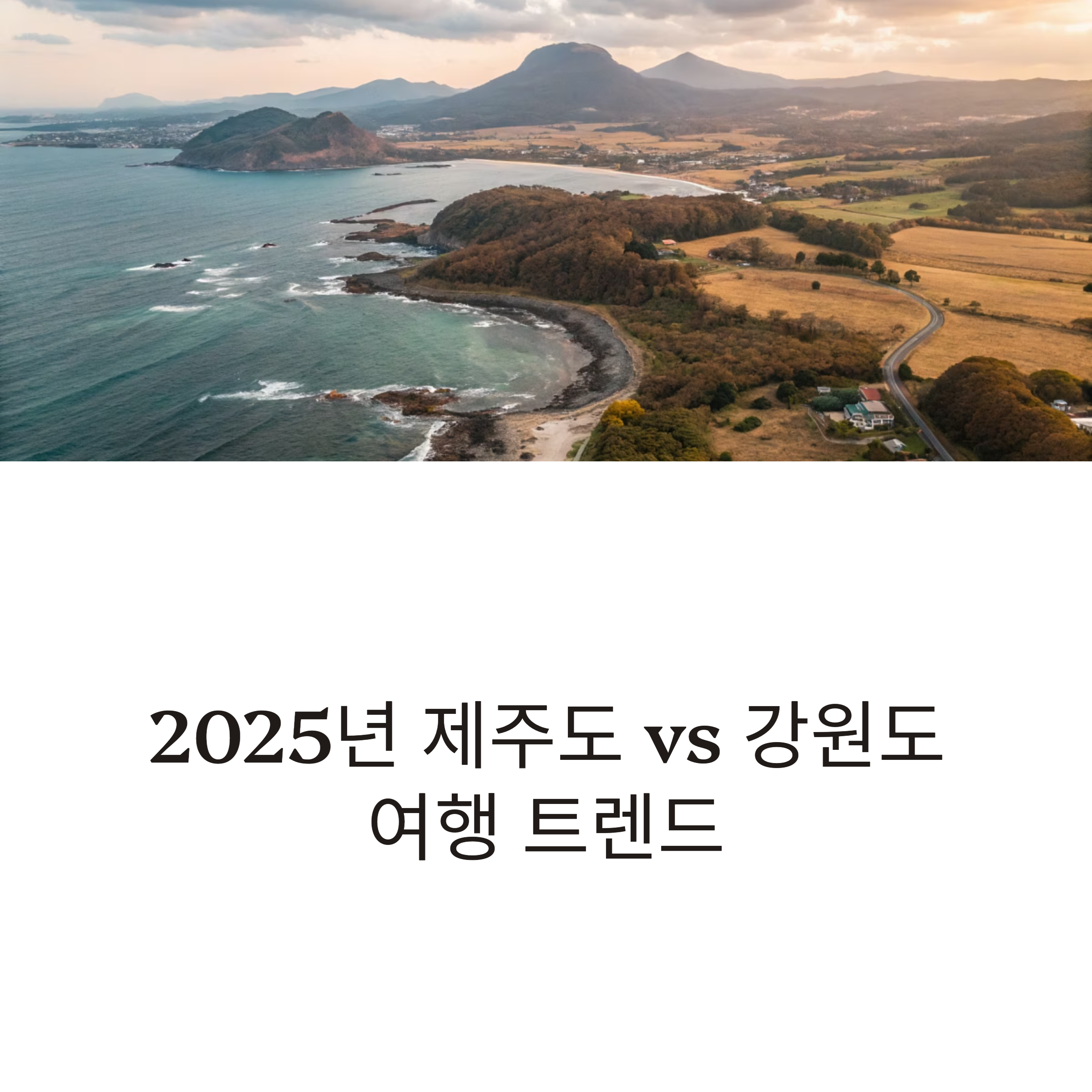 제주도 vs 강원도 여행 트렌드