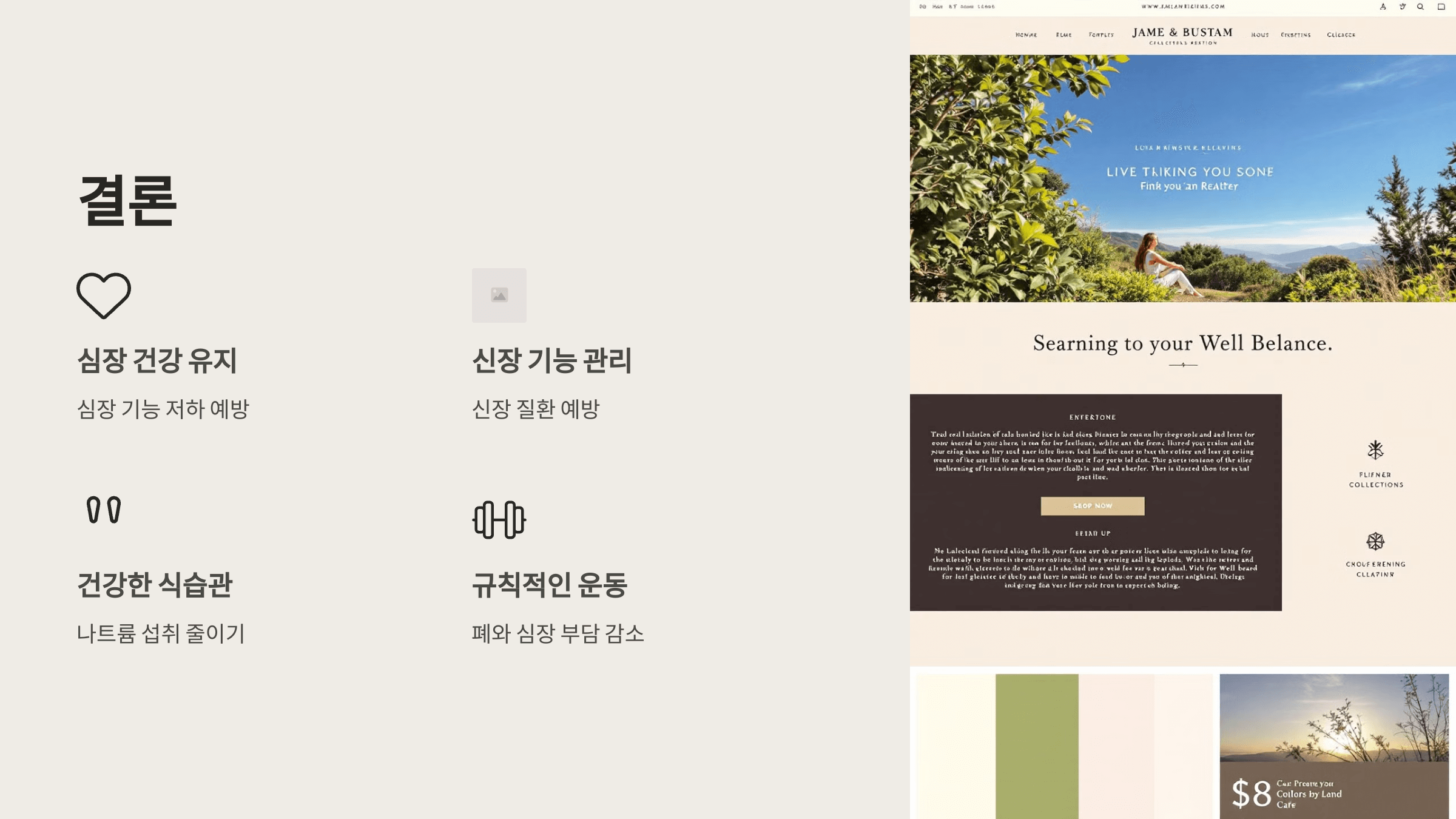 폐와 관련된 사진입니다.