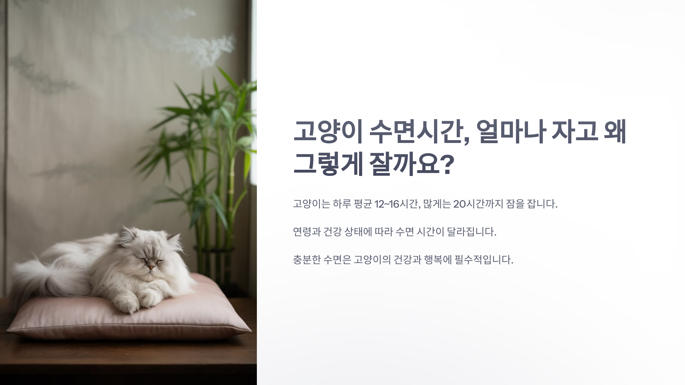 참조-고양이-수면시간-1
